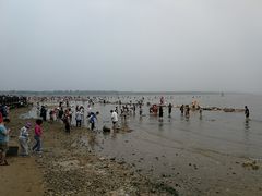 景点-鸽子窝公园