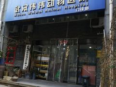 -伟伟宠物医院·CT影像中心·瑞派犬猫综合性门诊(汉口总院)