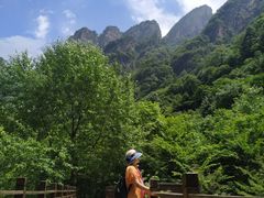 -青峰峡国家森林公园