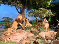 -国家自然博物馆