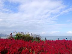 -珠海圆明新园