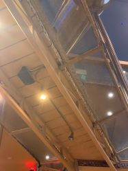 -卡通尼·Safari非洲探索乐园·生日会(金桥国际商业广场店)