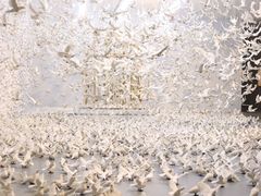 -上海宝龙美术馆