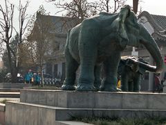 -西安秦岭野生动物园