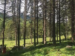 -硗碛藏寨·神木垒景区