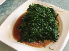金花菜酒香-新聚丰菜馆(太监弄店)