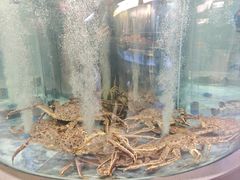 -海底捞大排档火锅(打浦路店)