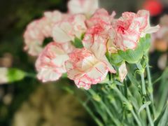 -春暖花开(西溪店)
