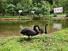 -长白岛森林公园