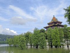 -顺峰山公园
