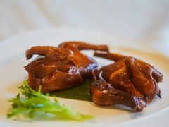 -新世纪大酒楼·30年南海菜