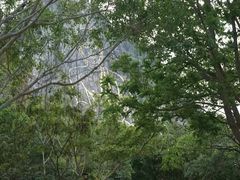 -七珍佛山