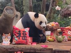 -海南热带野生动植物园