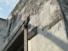 -东望洋炮台东望洋灯塔