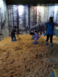 -恐龙探索乐园(磁器口店)