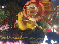 -越秀西湖花市(广州城市广场花卉店)