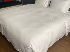 -成都龙泉驿北智选假日酒店