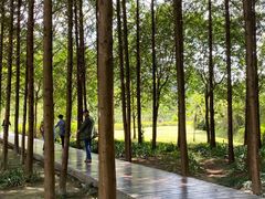 -唐崖土司城遗址