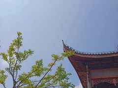 -长兴慧子土特产茶行