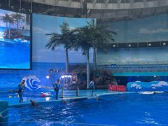 -海合安成都极地海洋公园