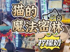 -猫的魔法密林(衣裳街店)