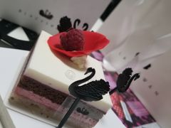 -BLACKSWAN黑天鹅(环球店)