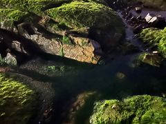 -青岛第三海水浴场