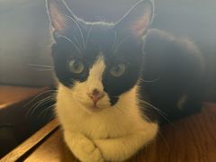 -原田新料理(1912店)