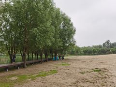-东郊湿地公园