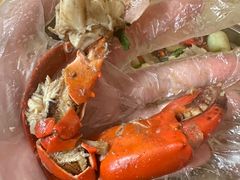 -瑞丽活螃蟹(芒市店)