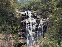 -海南热带雨林国家公园吊罗山景区