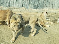 -北京野生动物园