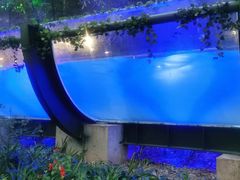 -花水湾第一村温泉大酒店