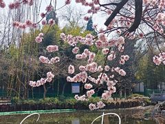 -宣武艺园