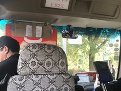-武汉大学-樱园