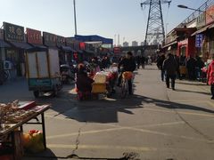 -中环花鸟鱼虫市场