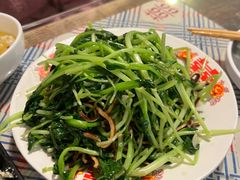 -七寻八找·胡同菜