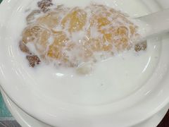 水牛奶椰汁莲子炖桃胶-民信老铺(人民路店)
