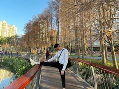 -四海公园(南山区)