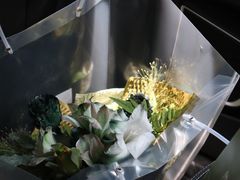 -花生FM_FLOWERS
