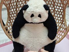 -金鹰国际购物中心(江都店)