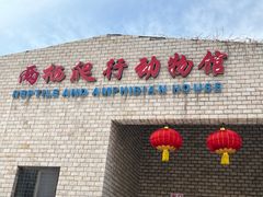 -石家庄市动物园