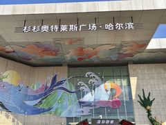 -杉杉奥特莱斯广场(哈尔滨店)