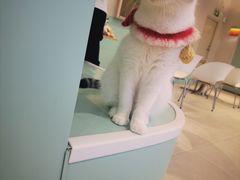 -怪兽屋·羊驼·猫咖·狗咖(俊华广场店)