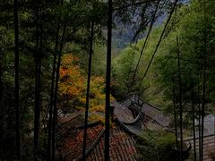 -藏龙百瀑风景区