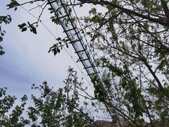 -青岛森林野生动物世界