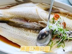 清蒸江南白鱼-翡翠江南(国贸商城店)