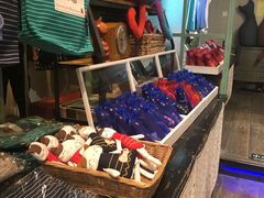 -猫咪博物馆(顶澳仔猫街店)