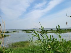 -七的湖·晚芳亭·阳澄湖农家菜·大闸蟹(莲花岛店)