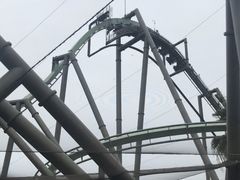 -飞天翼龙
